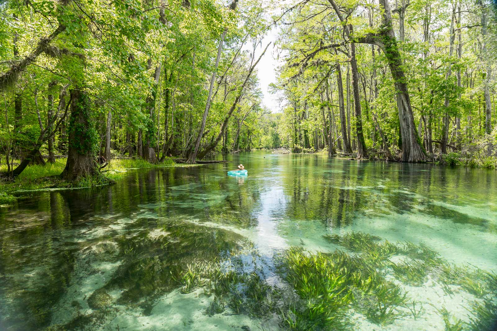 Ichetucknee Springs | Tubing the Crystal Clear River